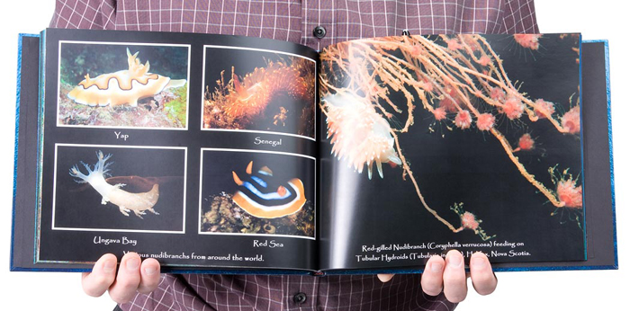Photo Book Underwater Fauna by Bob Semple