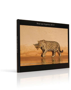Jaguar Photo Book