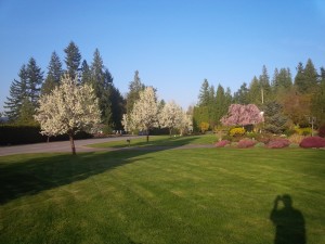 Vancouver, BC photo safari sample image for a photo book